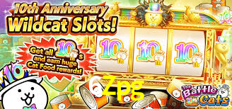 APP oficial da 6Zpg para mobile